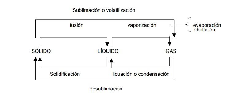 Los estados de la materia.