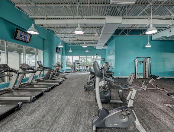 La cinta de correr para hacer cardio.