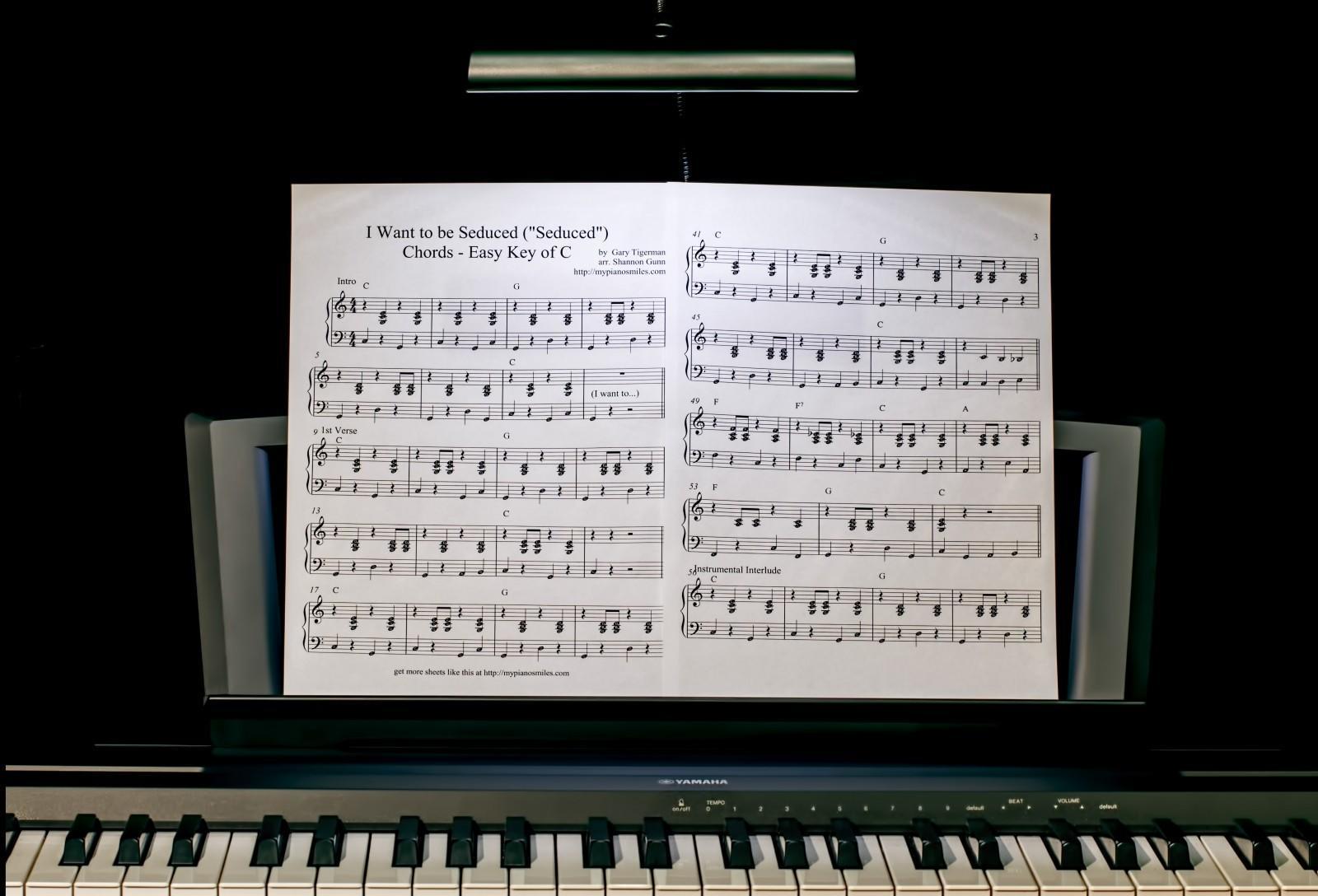 Todo lo que necesitas saber sobre los pianistas más importantes del mundo.