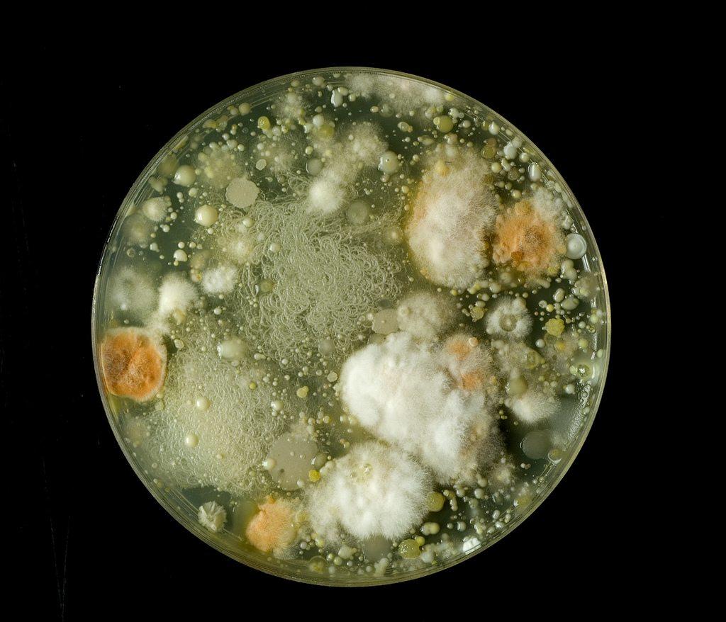 utensilios esenciales quimica