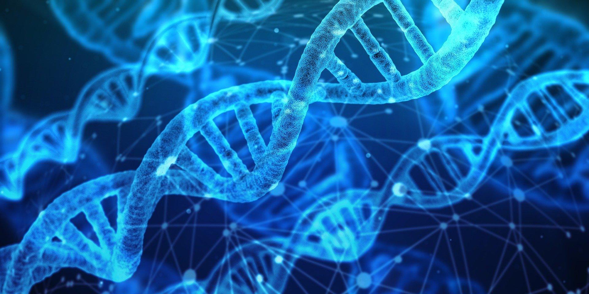 Consejos para encontrar al profesor de biología ideal para ti