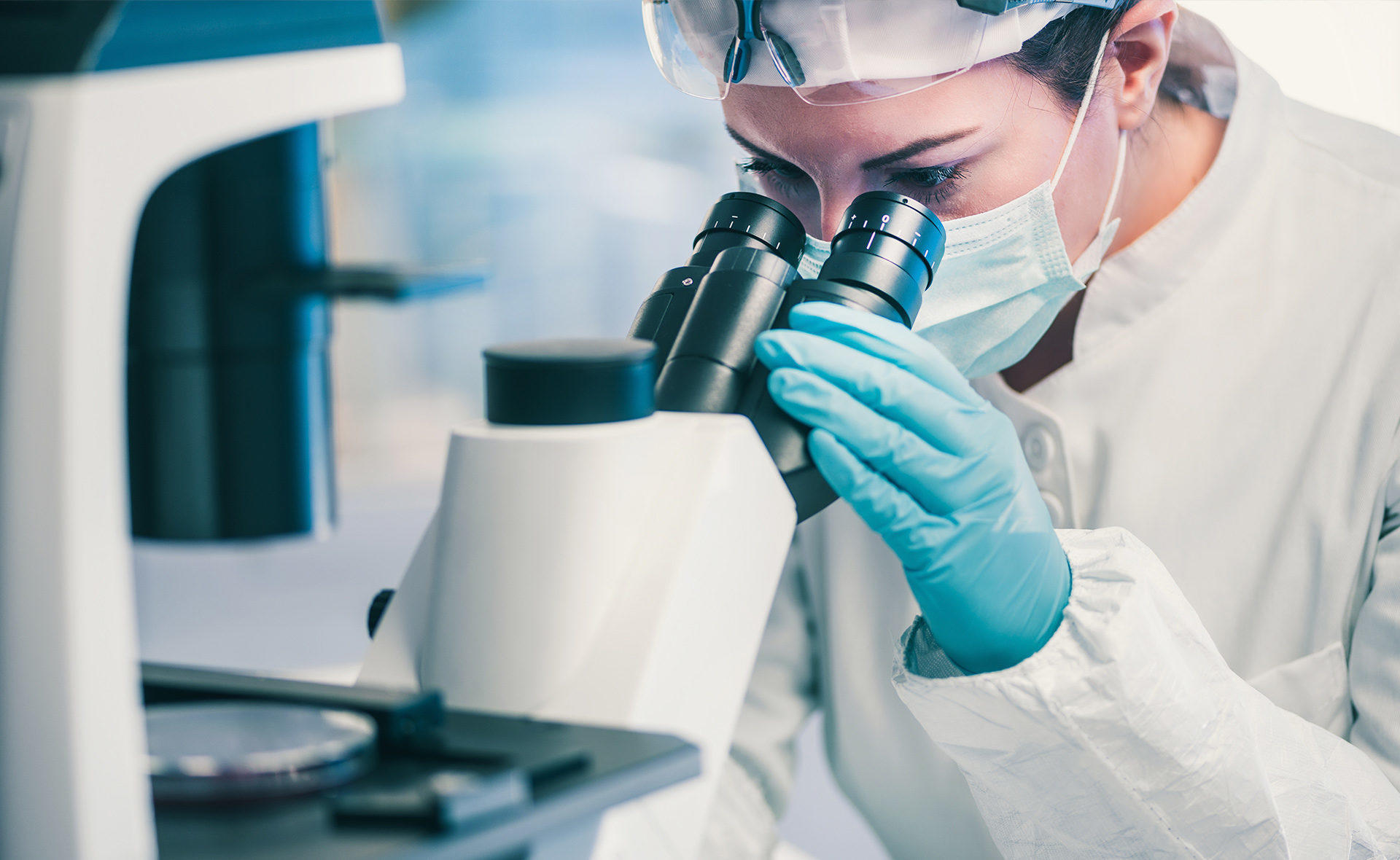 tutoria biologia