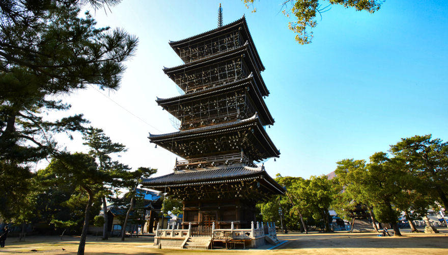 La importancia de Shikoku