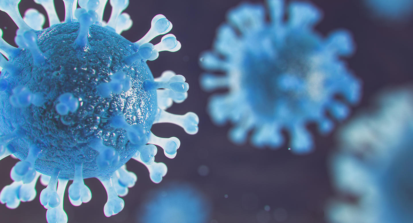Algunas cosas que te enseñará tu profe de biología y otras que no