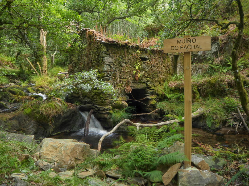 Origen del baile gallego.