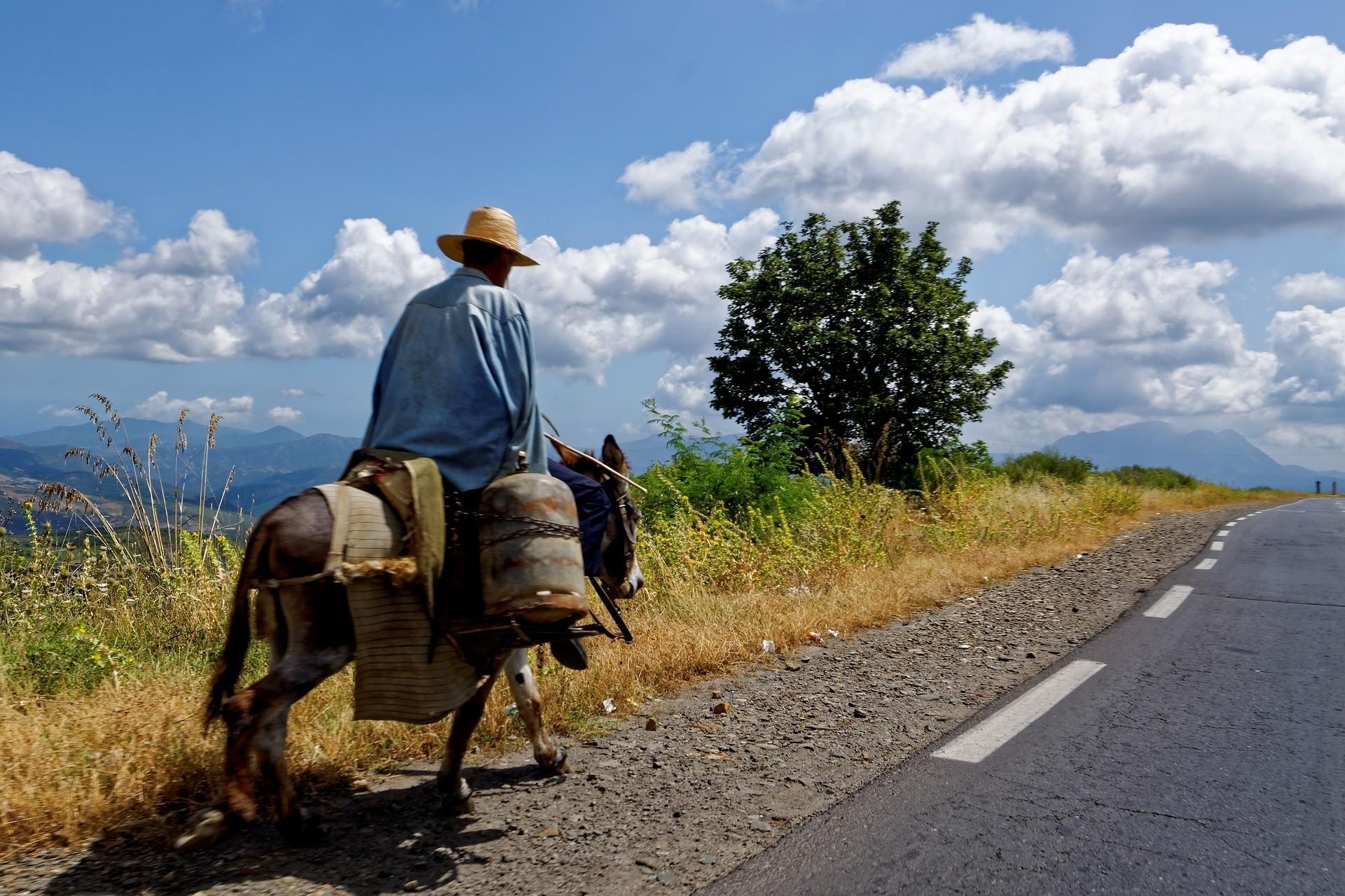 Viajar argelia