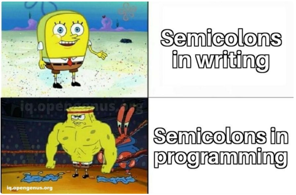 elegir profesor de programacion