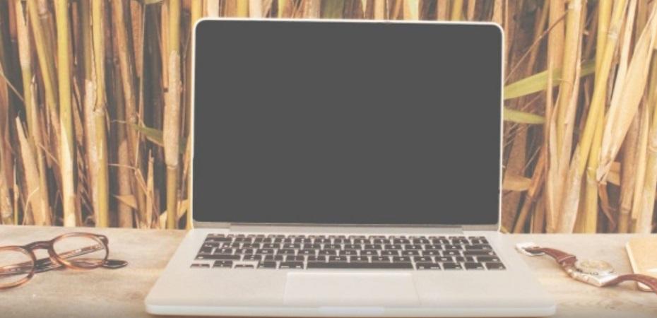 Las principales opciones de Zoom para las clases online
