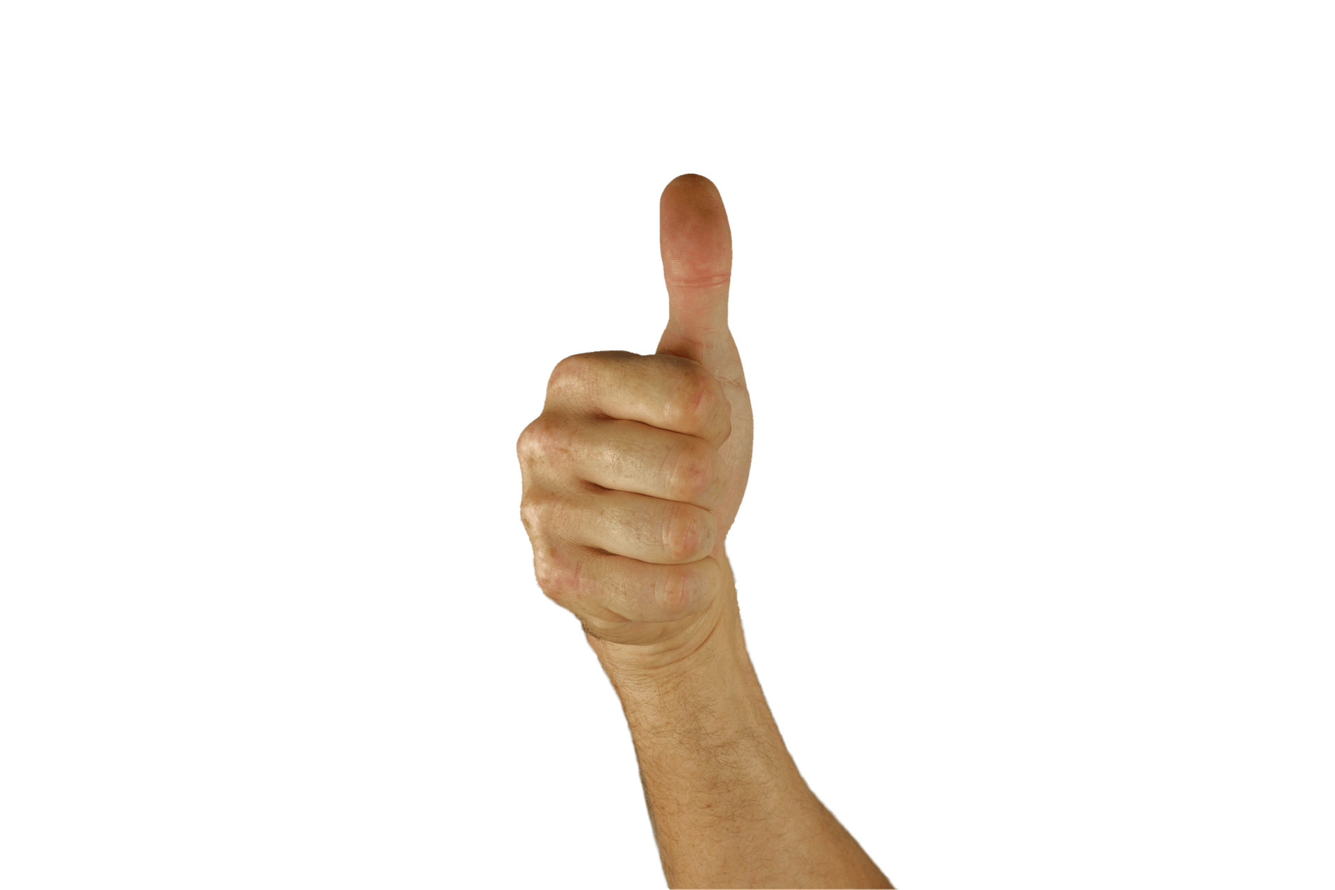 Contabilidad en los negocios