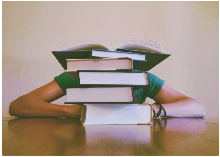 profesores economia con experiencia