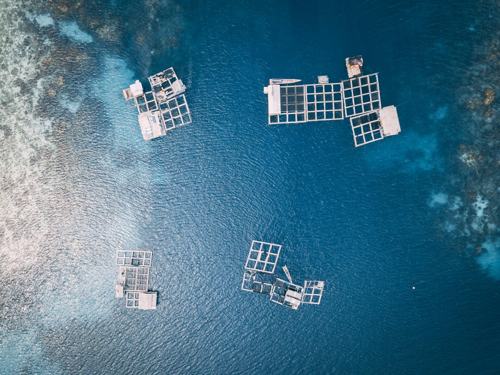 Vista aérea de granjas piscícolas con estructuras de redes cuadradas que flotan sobre un océano de un azul intenso. Debajo se divisan los arrecifes de coral, creando una escena serena y natural.