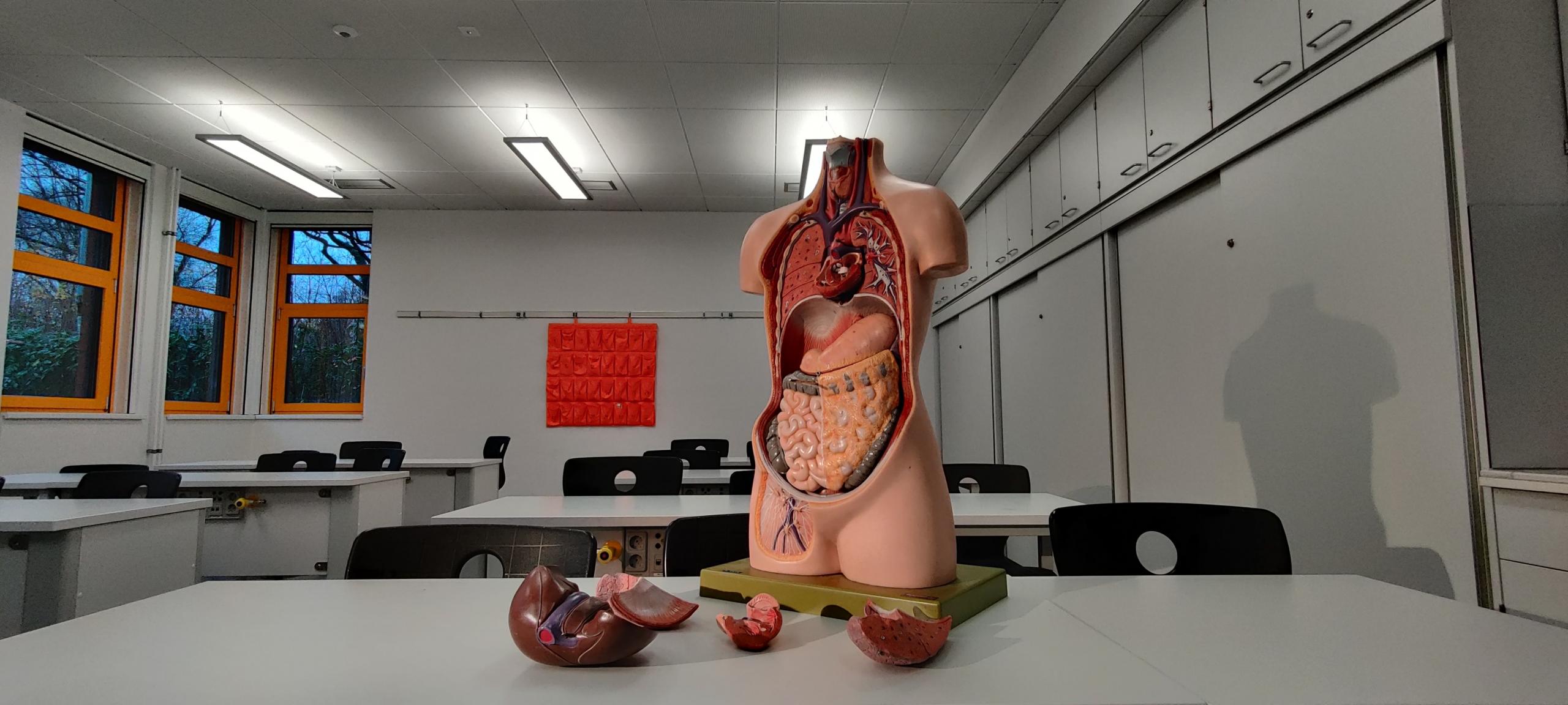 Aprender biologia en la ciudad de Malaga