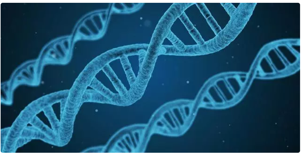 biologia forense conceptos