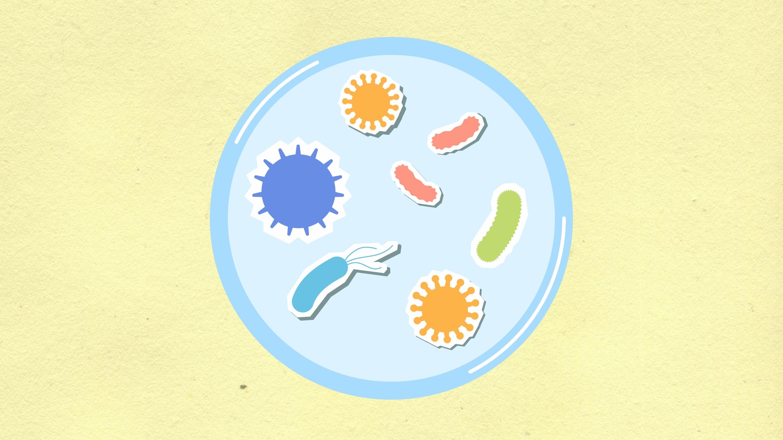 Donde aprender biologia en valencia