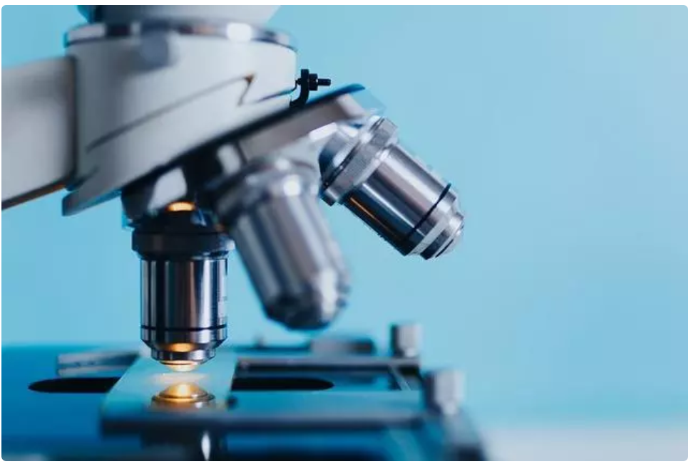 tareas de un microbiologo