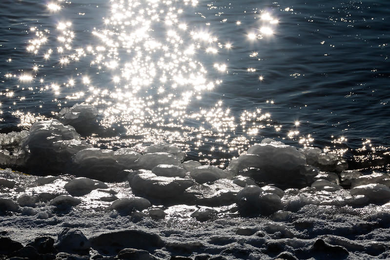 Biologia marina: definición