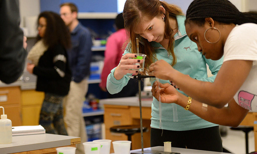 Trabajo de un biólogo molecular