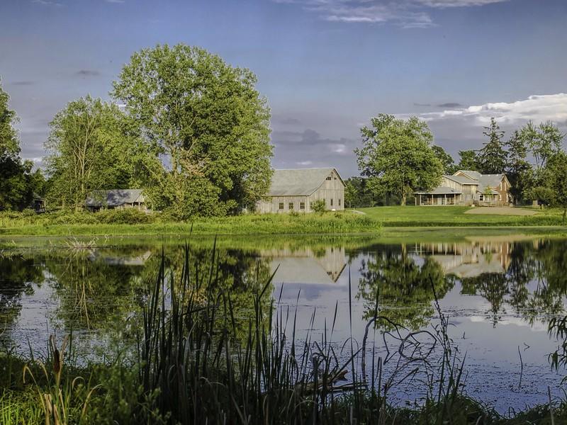grado ciencias medioambientales