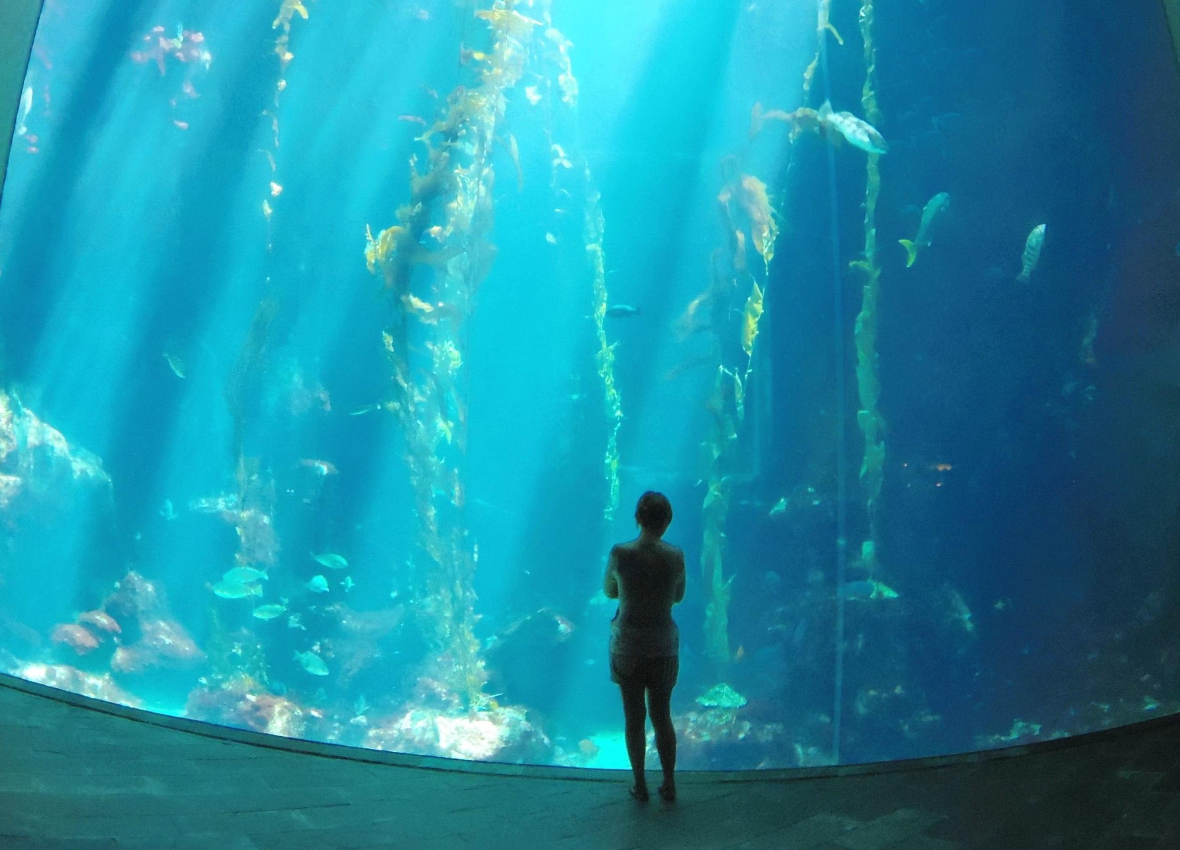 conceptos de biología