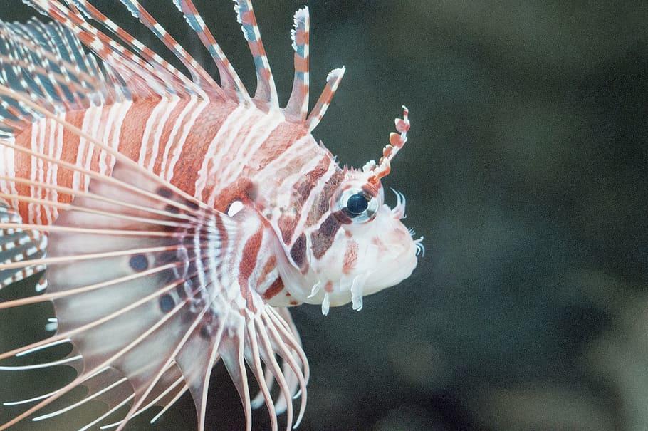 biologia marina universidades españa