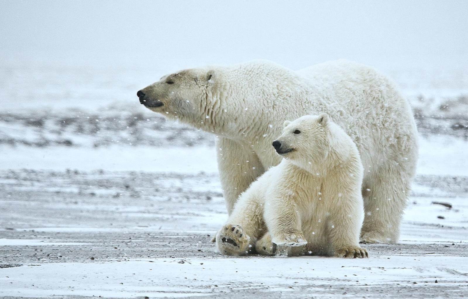 biologia marina españa