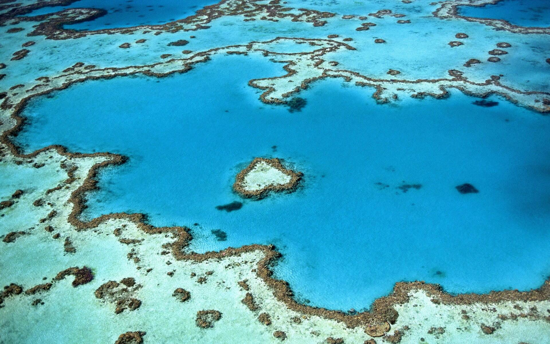 Vista aérea de un océano de un azul intenso con arrecifes de coral irregulares que forman intrincados diseños bajo la superficie del agua.