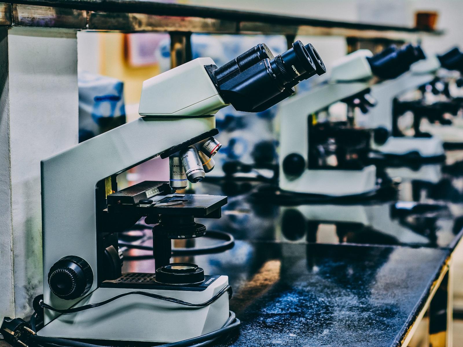 Ramas de la biología molecular