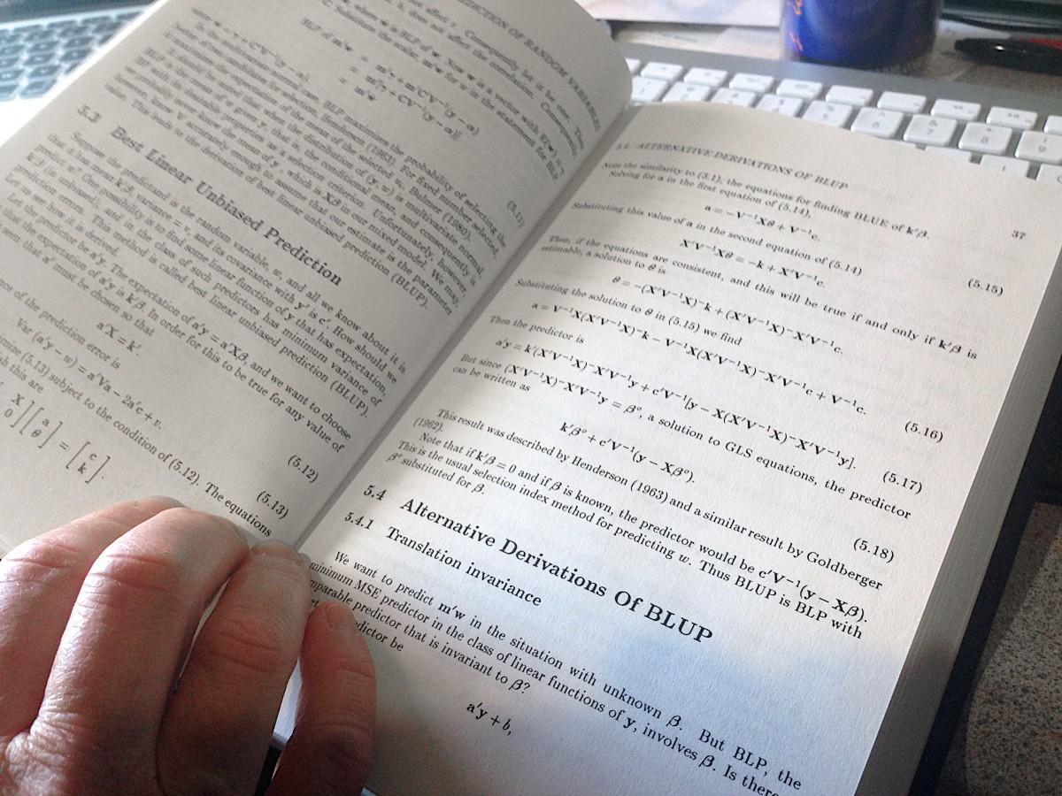 Usos econometría