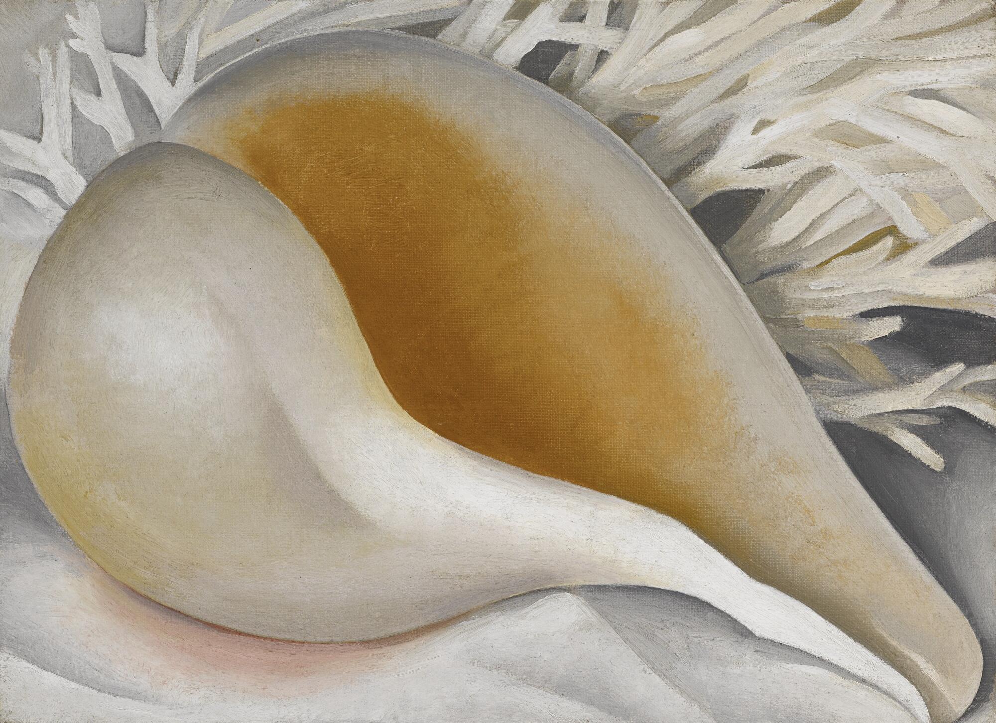 el cuadro conche de Georgia O'Keeffe con un primer plano de una concha marina estilizada con el interior de color naranja dorado, sobre un fondo de coral blanco y suaves tonos grises.