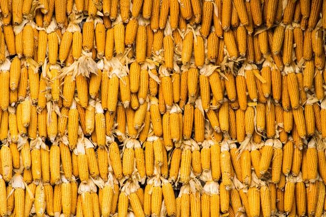 cocina mexicana recetas tradicionales