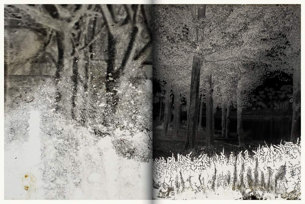 Una imagen abstracta en escala de grises dividida por la mitad. La parte izquierda presenta patrones nevados con textura y contornos de árboles oscuros. La parte derecha muestra un bosque nocturno, creando un tono misterioso e inquietante.