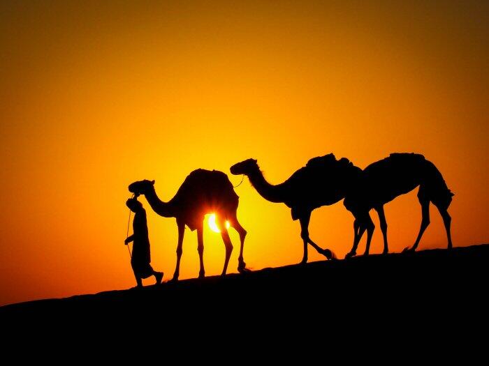 Silueta de una persona guiando dos camellos por una duna del desierto al atardecer. El cielo es de un naranja intenso, lo que crea una atmósfera serena y cálida.