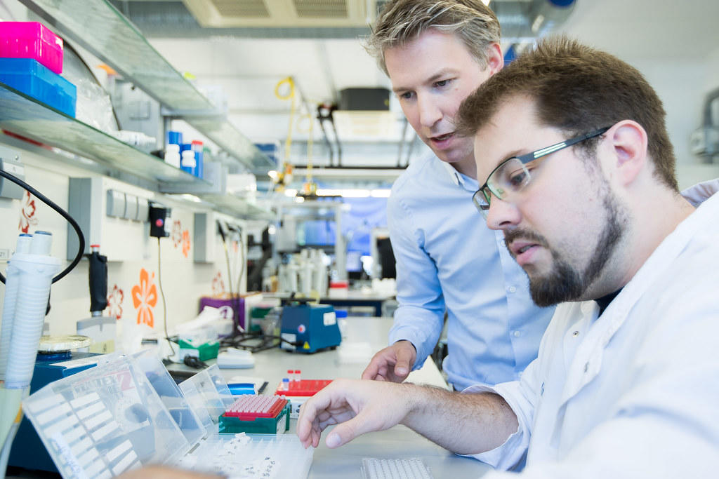 trabajo como profesor de quimica