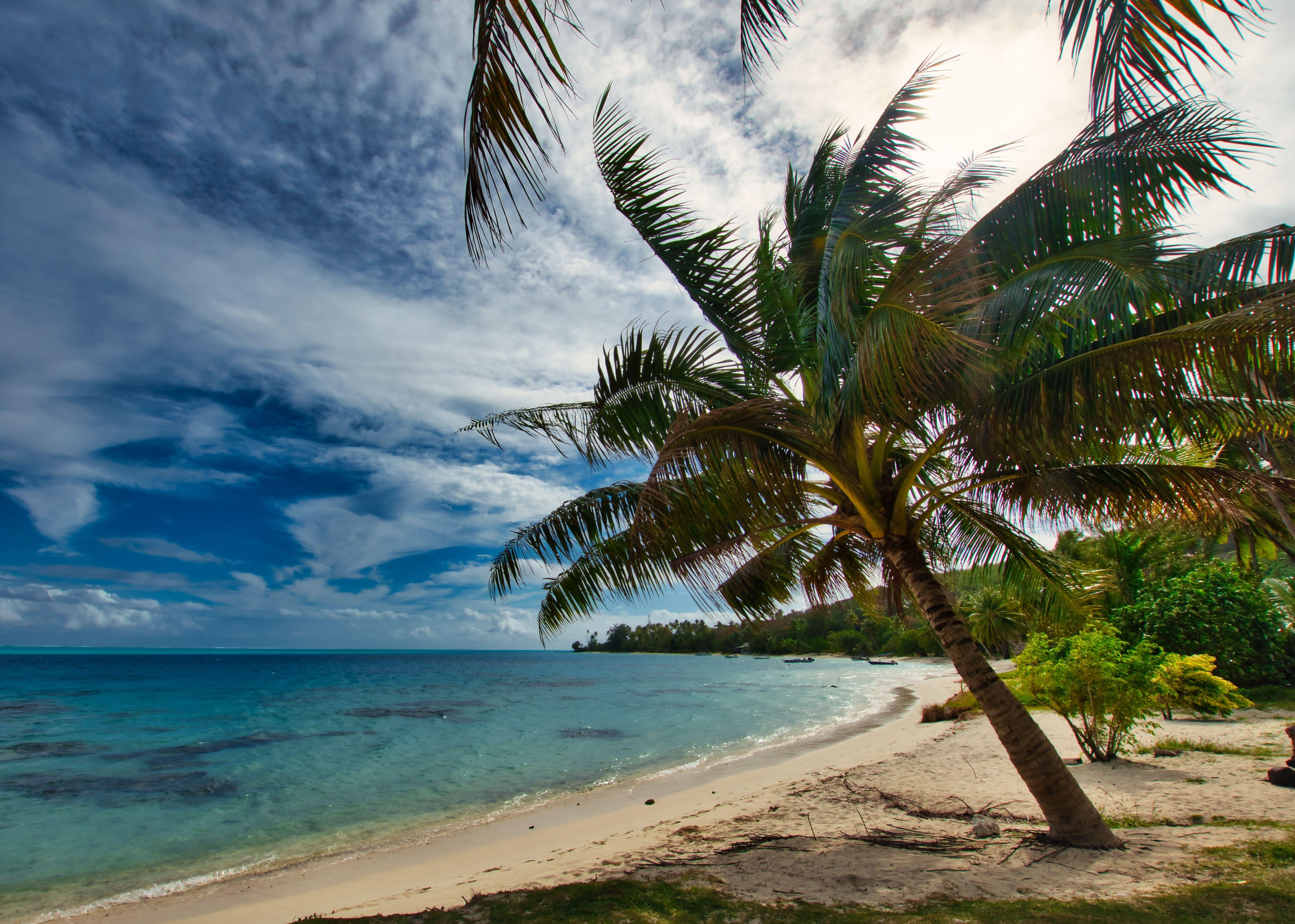 bora bora isla playa