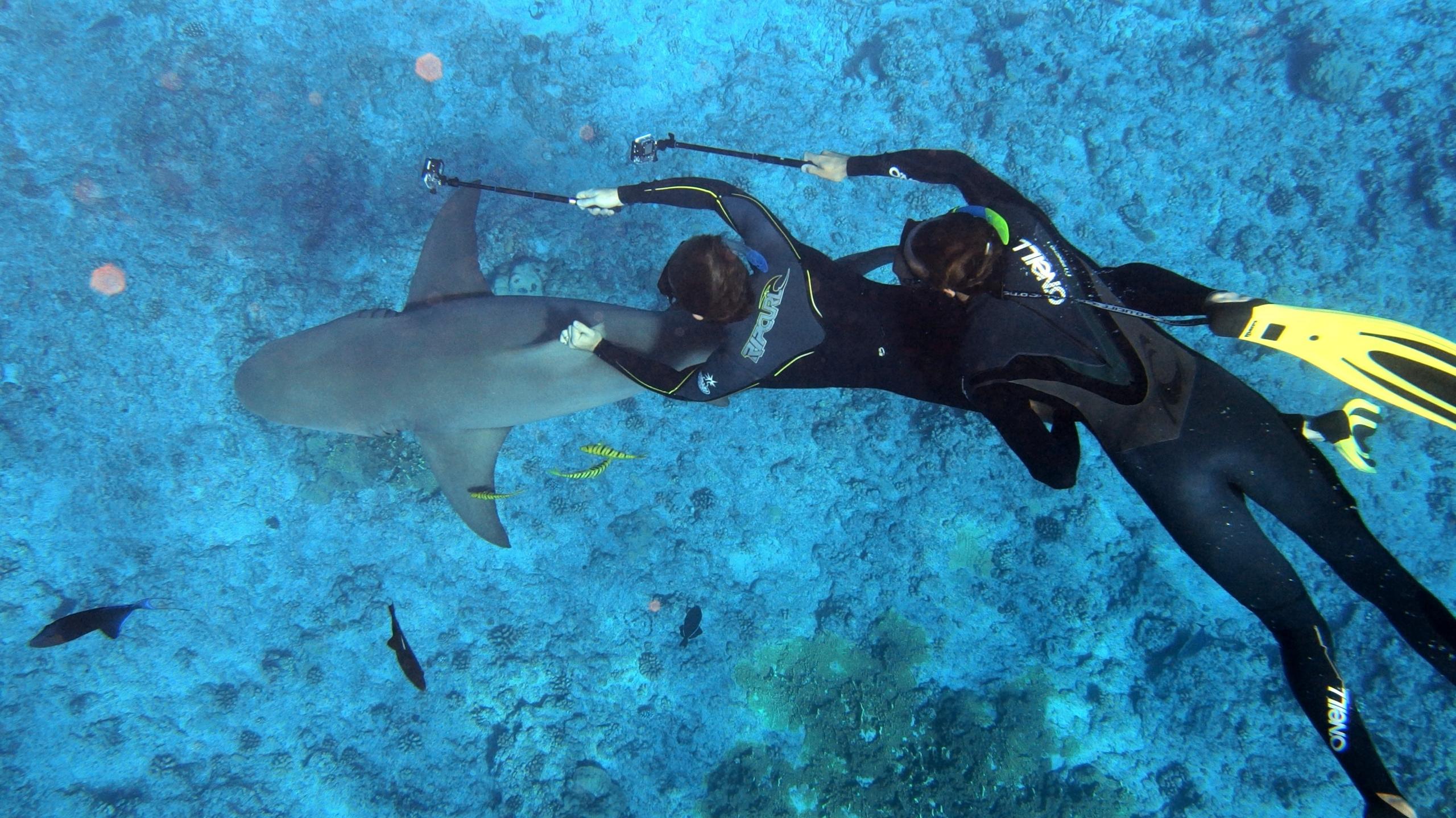 bora bora isla buceo