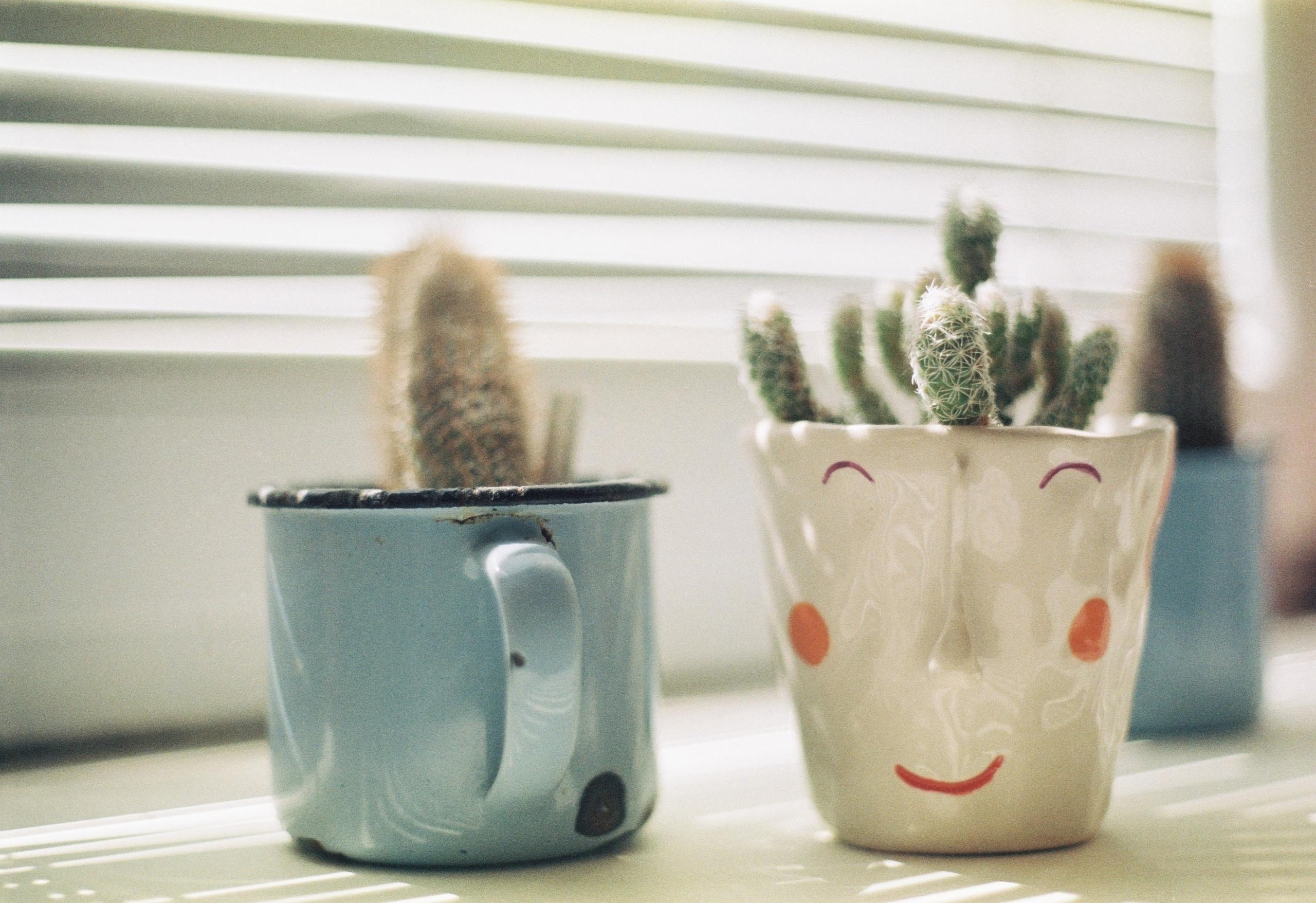 tazas de ceramica