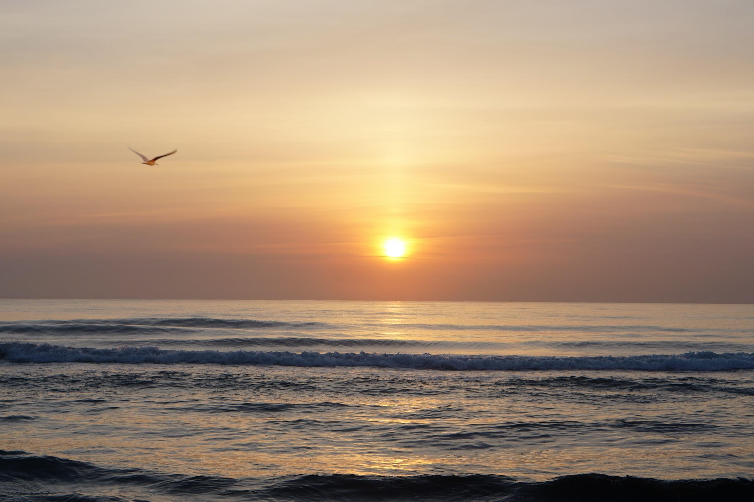 playa de valencia