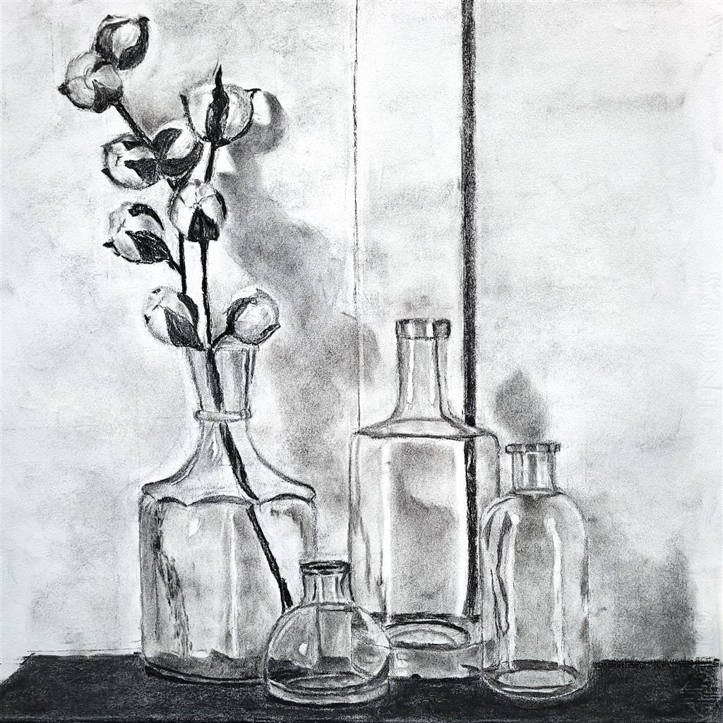 Dibujo al carboncillo de botellas de vidrio y una rama de algodón. Las botellas tienen formas variadas, creando reflejos. El tono es tranquilo y minimalista.