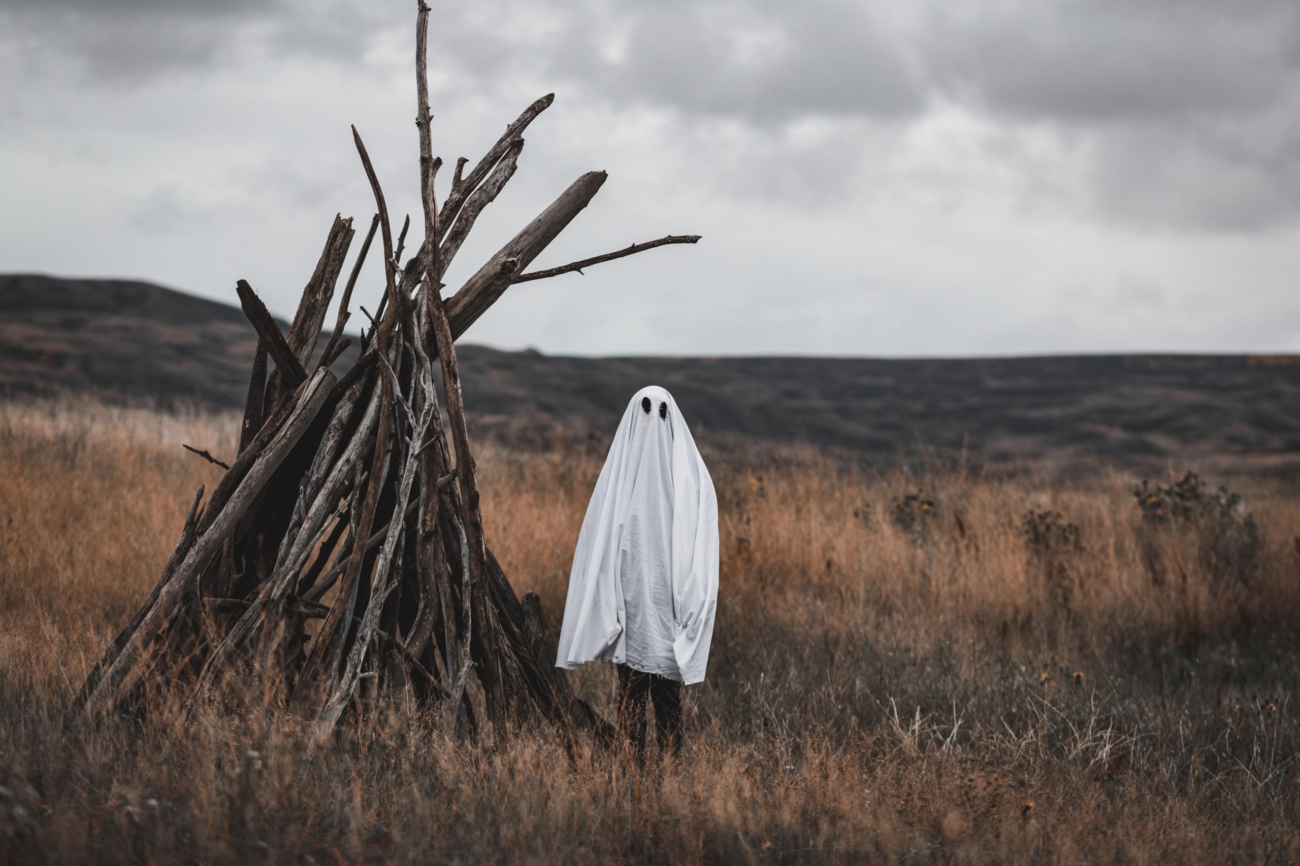 disfraz halloween fantasma