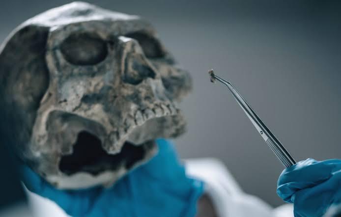 Un científico con guantes azules sostiene unas pinzas con un pequeño fragmento de hueso junto a un cráneo antiguo, lo que transmite una sensación de arqueología y descubrimiento.