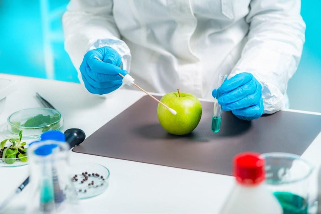 Grados y másteres en química de los alimentos