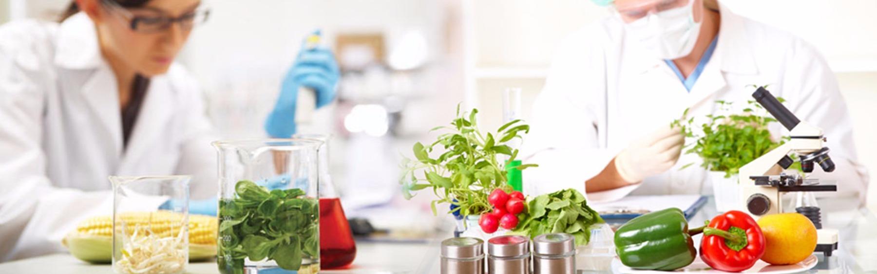 Química de los alimentos: métodos de conservación