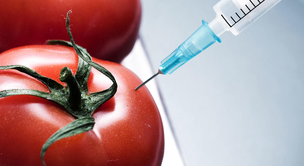 Entender la química de los alimentos