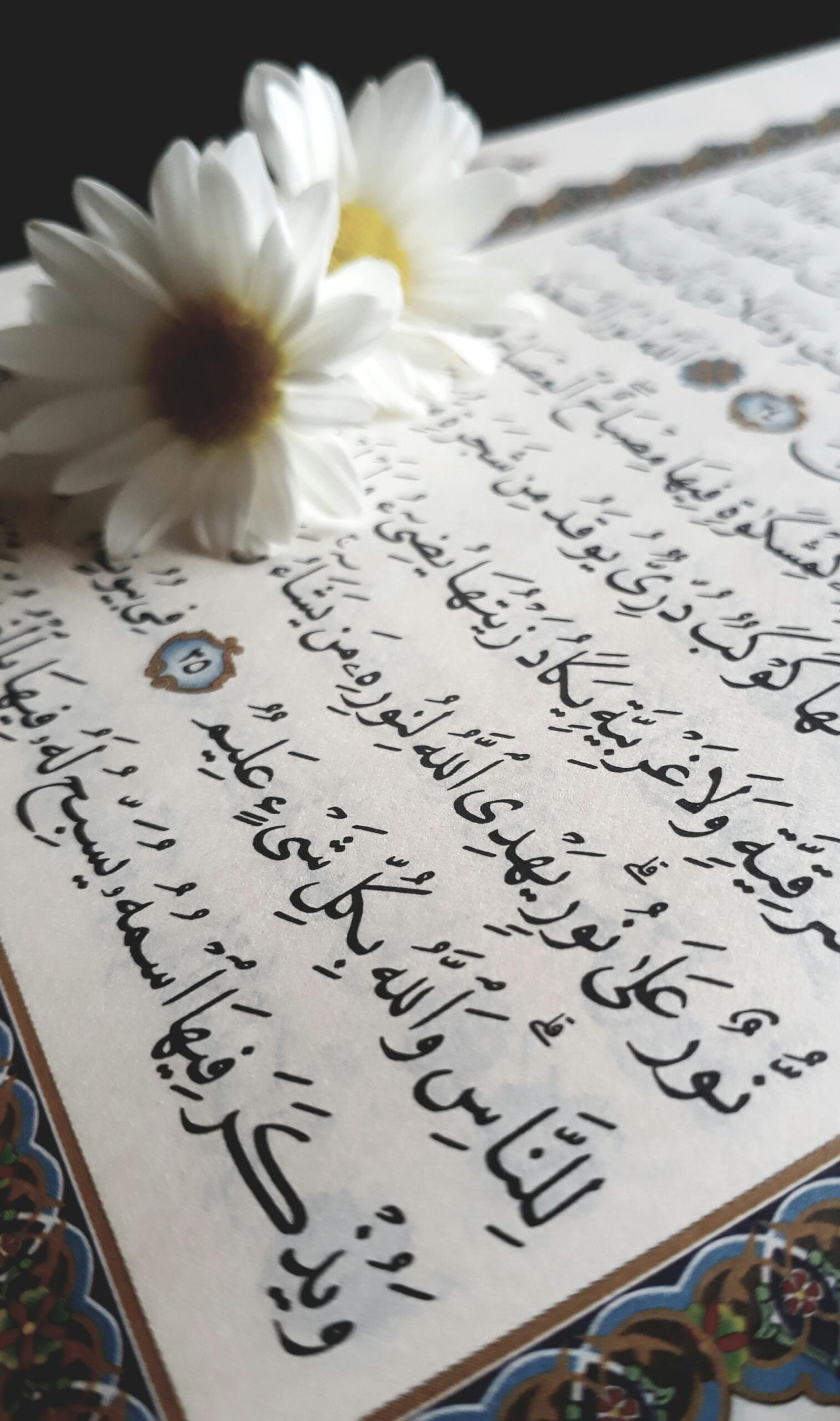 Dos margaritas blancas descansan sobre una página abierta con caligrafía árabe, bordeada por intrincados motivos decorativos. La escena transmite un ambiente tranquilo y reflexivo.
