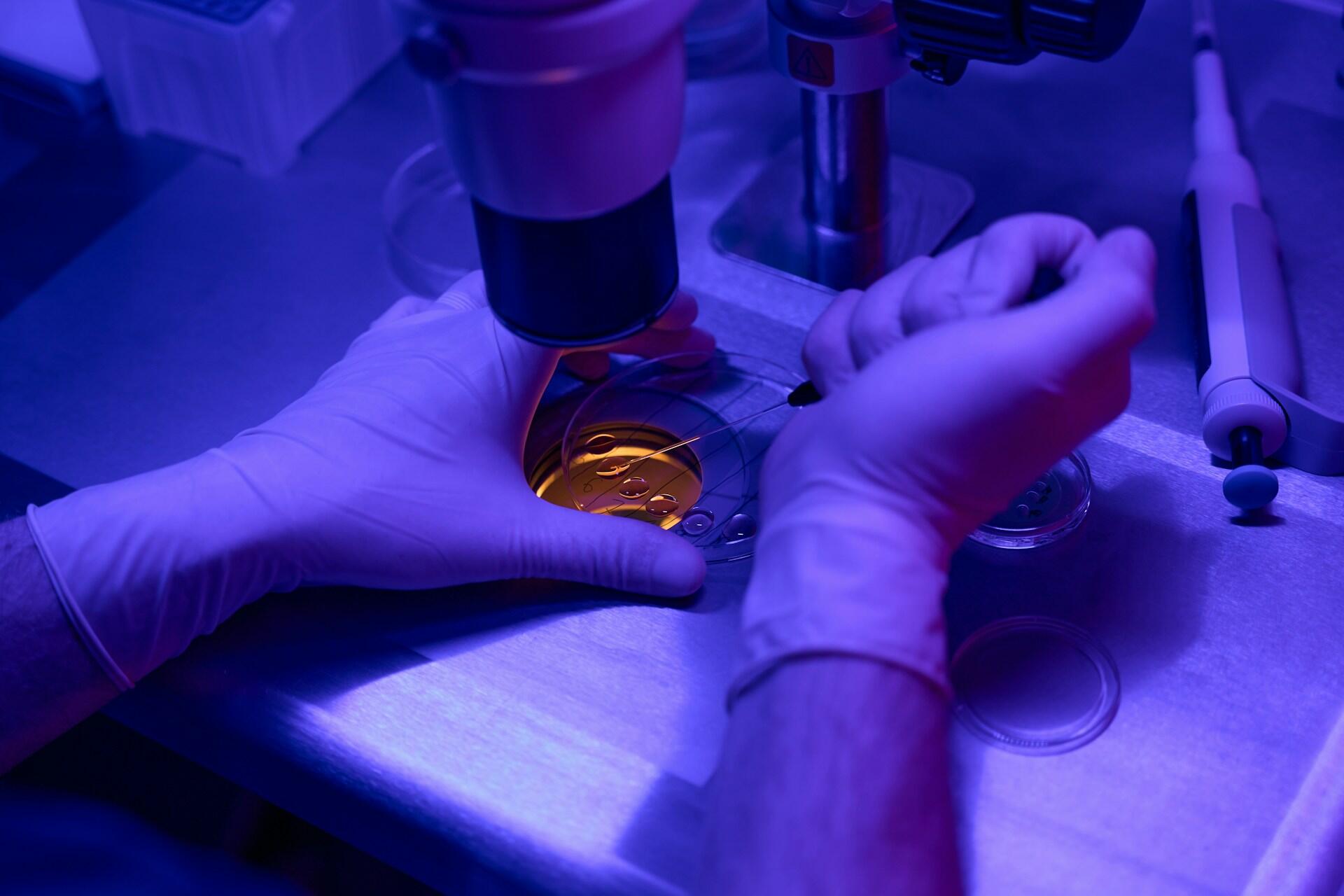 Experimento laboratorio
