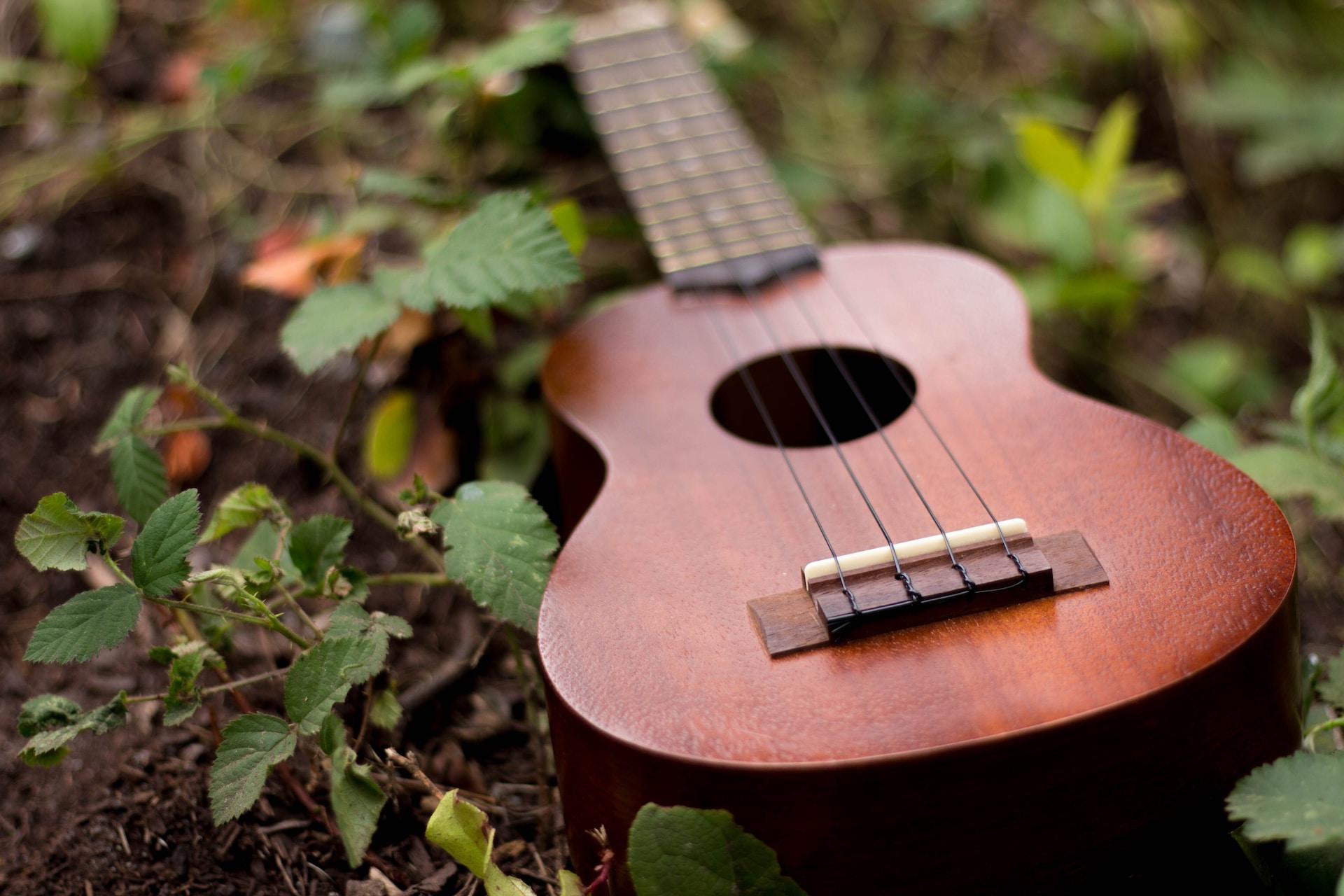 Mejores academias de ukelele