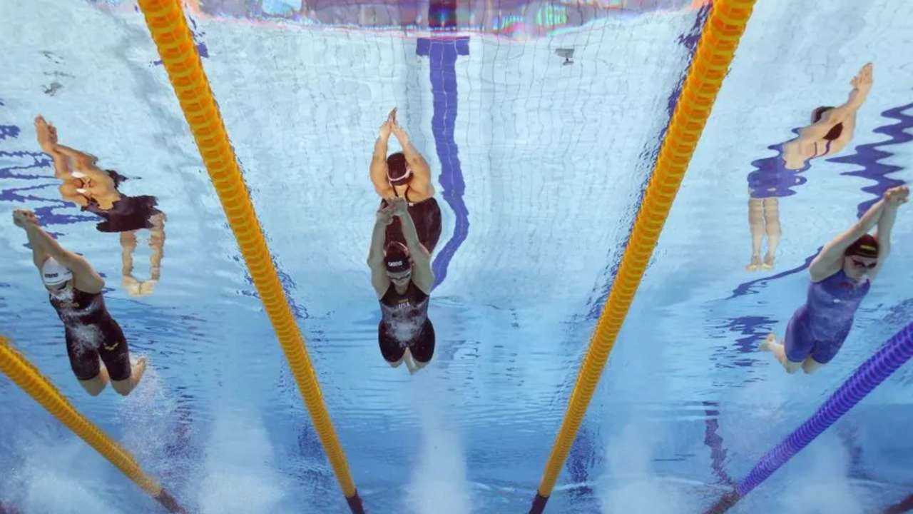 donde ver el mundial de natacion