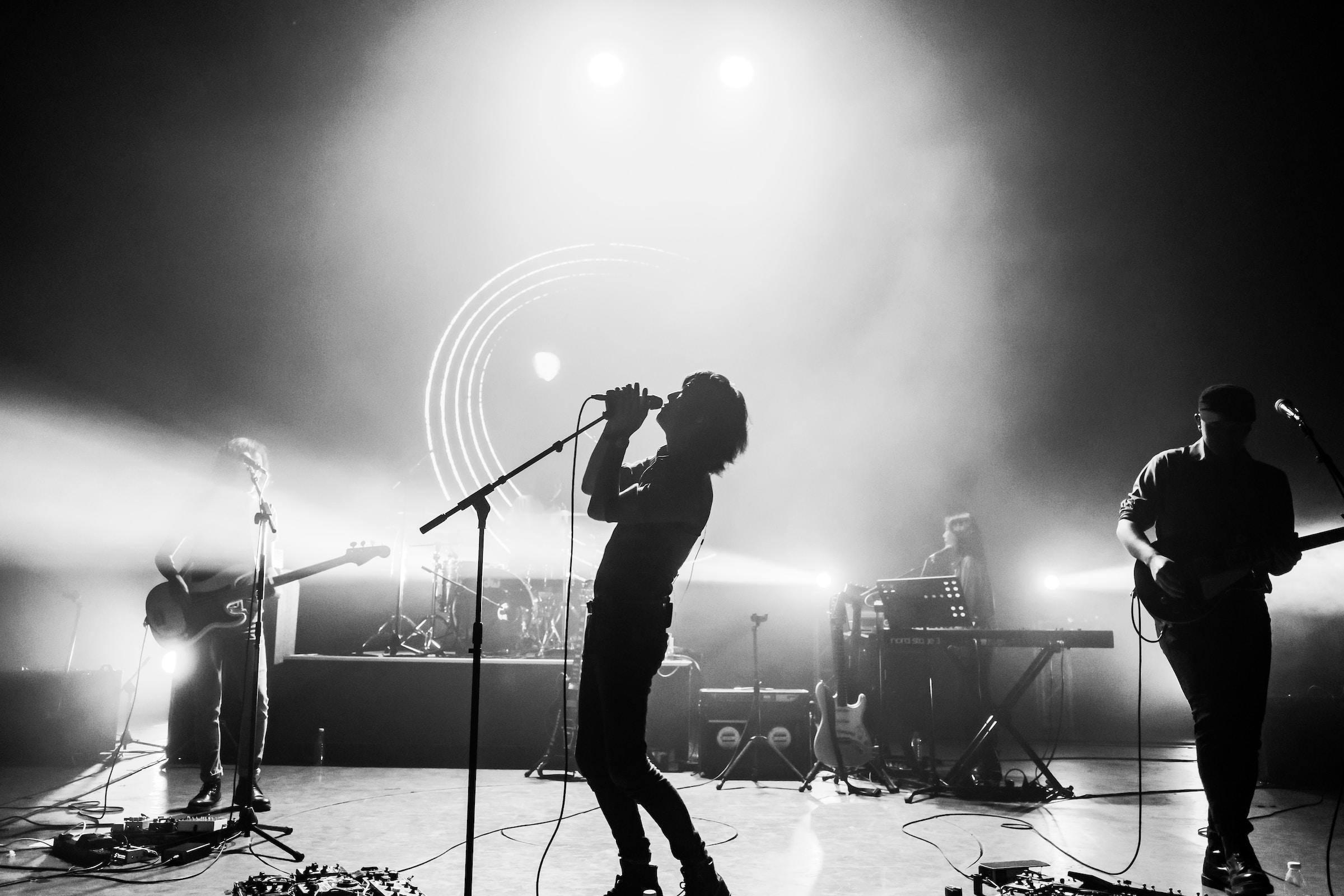 cantante en un concierto