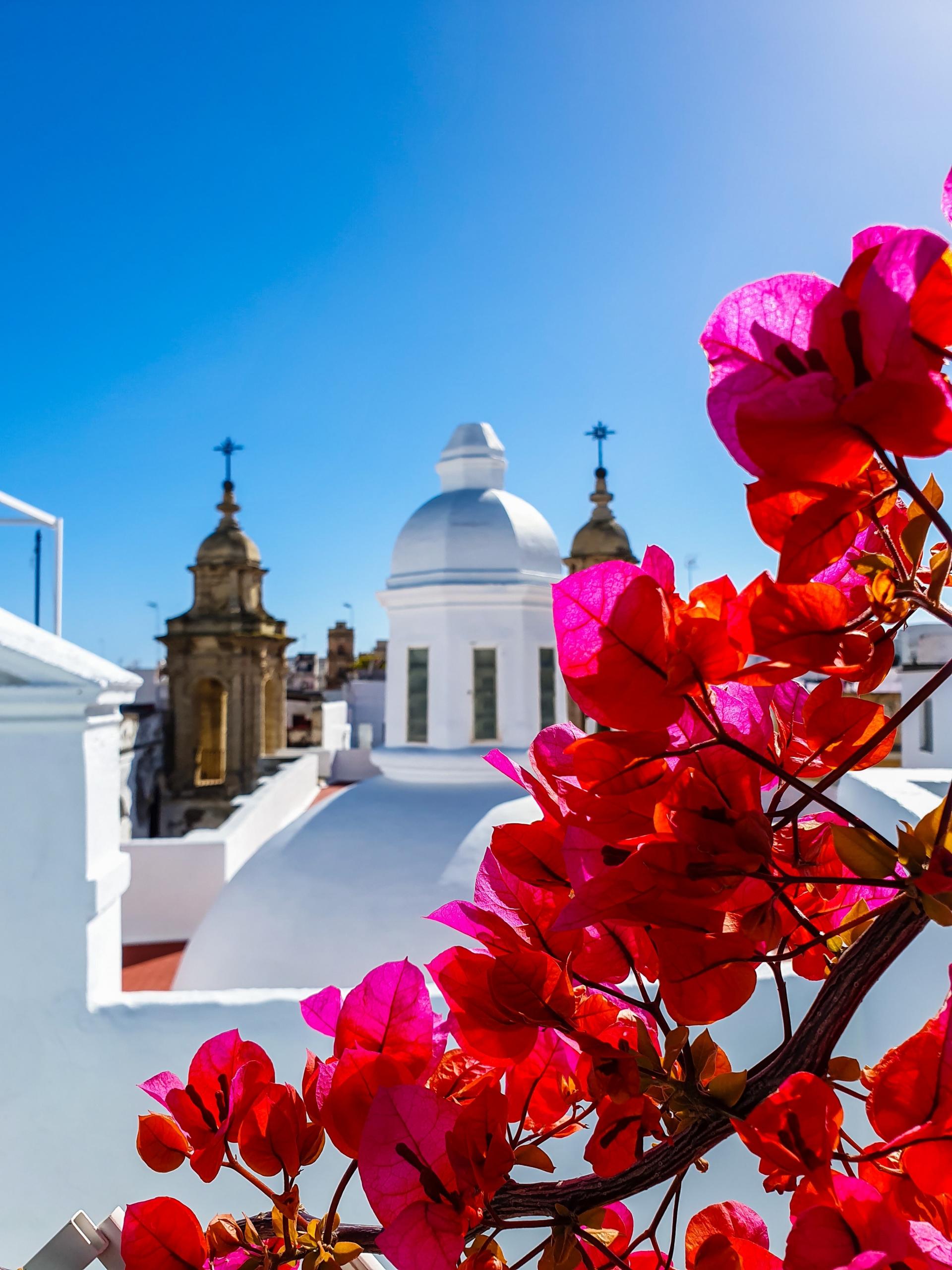 vistas ciudad de cadiz