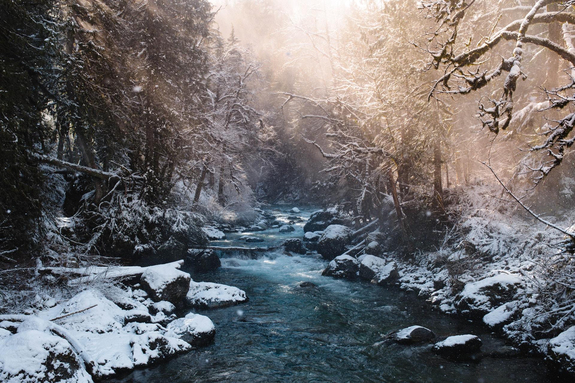 Niveles para pintar paisajes nevados